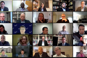 Participants at the CoC fourth virtual conference. 